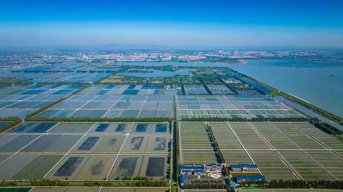 航拍高淳固城湖螃蟹核心區(qū)。高淳區(qū)融媒體中心供圖